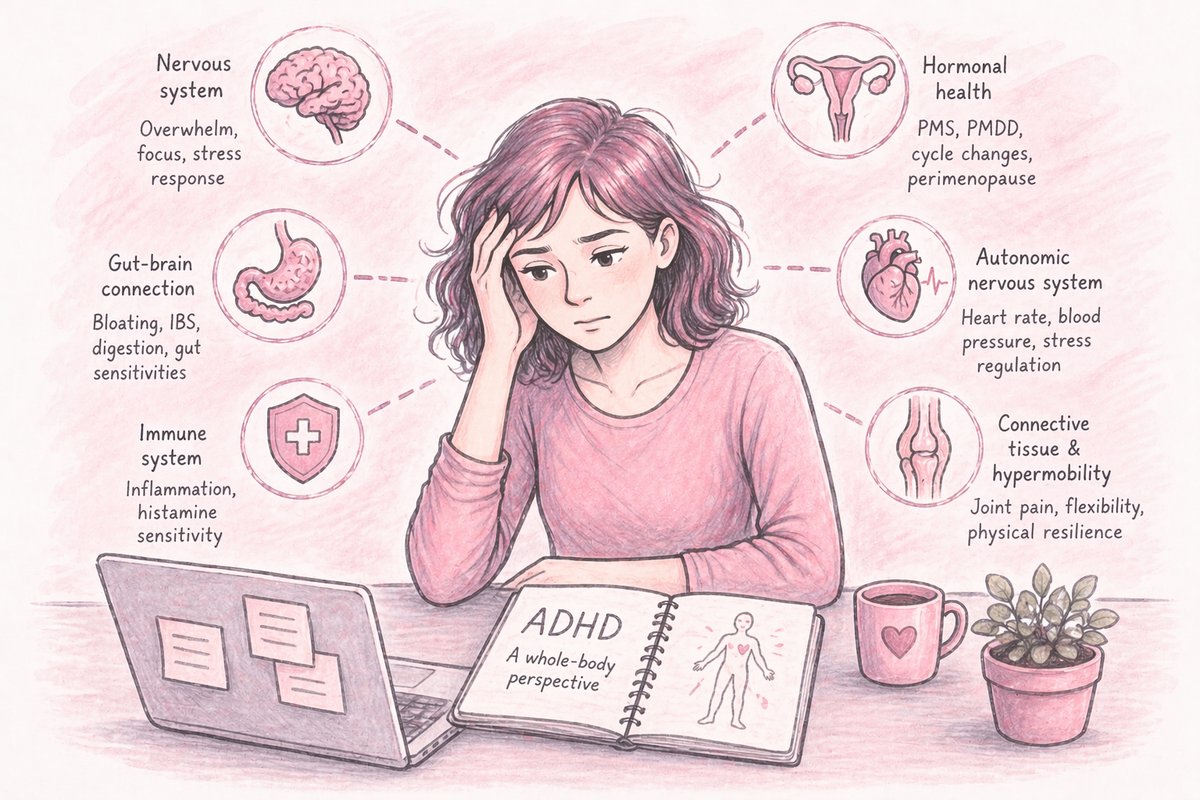 Illustrated diagram showing ADHD as a whole-body condition in women, with connections to the nervous system, hormonal health, gut-brain connection, immune system, autonomic nervous system, and connective tissue